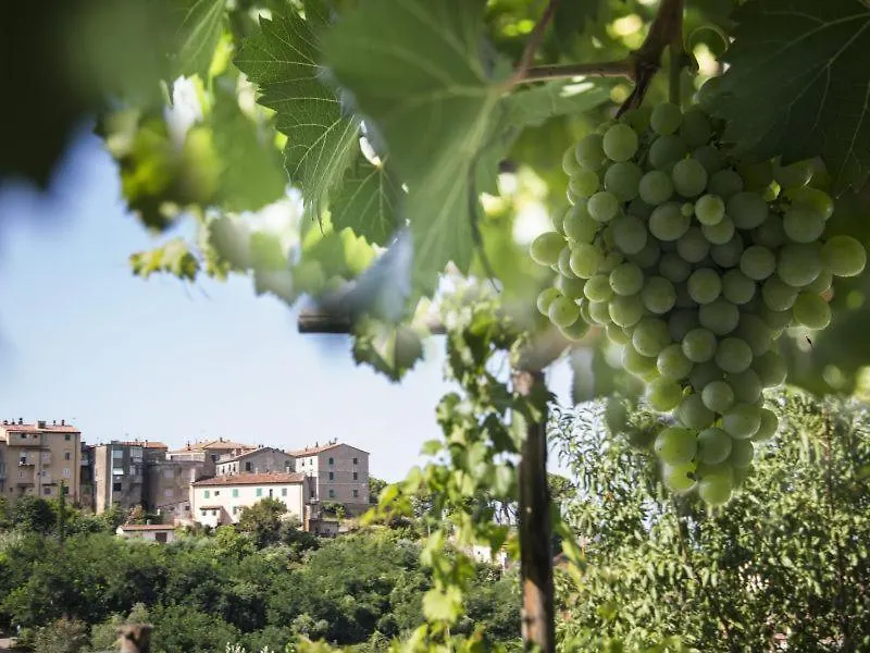 Residence La Casina Castagneto Carducci Country house