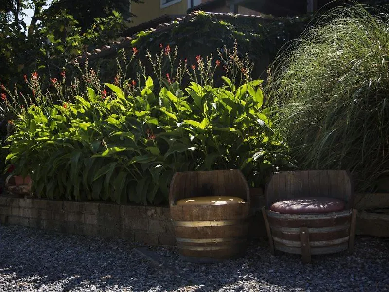 Residence La Casina Castagneto Carducci Country house